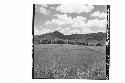 360 [degree] panorama of Main Group of ruins and outlying mounds, from top of Mo