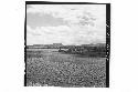 360 [degree] panorama of Main Group of ruins and outlying mounds, from top of Mo