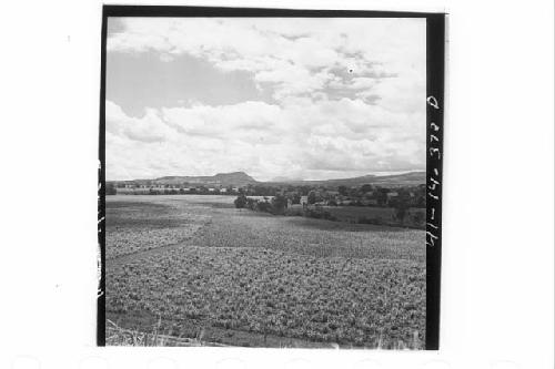 360 [degree] panorama of Main Group of ruins and outlying mounds, from top of Mo