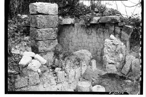 Phalli, S. patio, looking N. N. W. Ditto C-26043