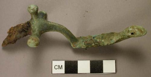 Fibula, anthropomorphic