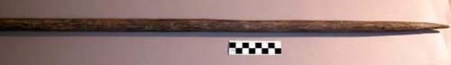 Palmwood spear