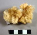 White unspun cotton (gossypium ssp) wrapped around gold objects