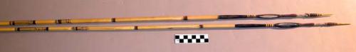 Fighting arrows - bamboo shafts; palm wood points, carved, barbed & +