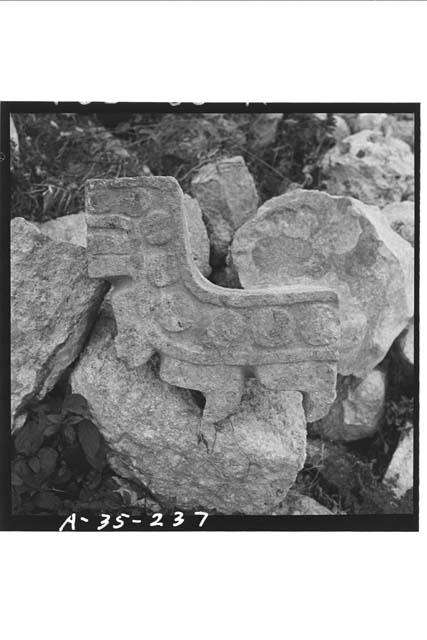 Feathered serpent decoration on Str 2C6 (Casa 1); West side