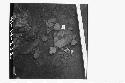 Potsherds on concrete floor in SE cor. of sect. N57.6E partly under stake N56.6E