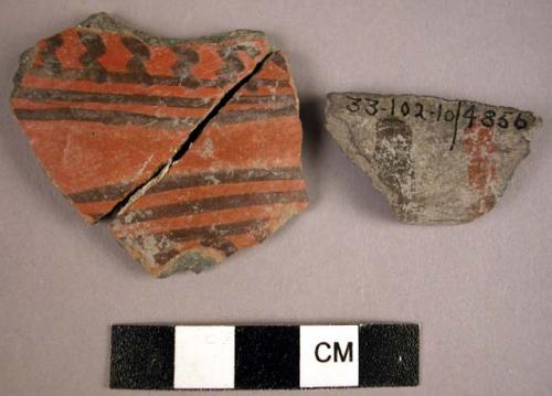 Potsherds - rare types?