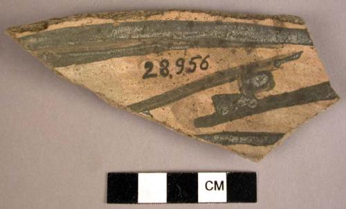 Sherd