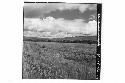 Panorama (10 pictures-360 [degrees]) of Main Group of ruins and outlying mounds,