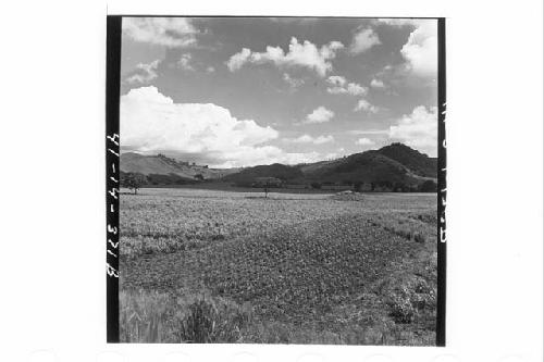 Panorama (10 pictures-360 [degrees]) of Main Group of ruins and outlying mounds,