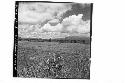 360 [degree] panorama of Main Group of ruins and outlying mounds, from top of Mo