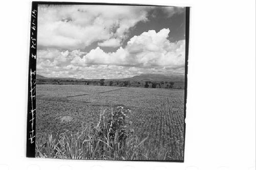 360 [degree] panorama of Main Group of ruins and outlying mounds, from top of Mo