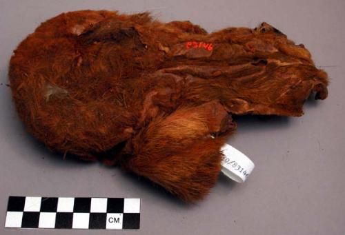 Witch doctor's skin bag containing red clay