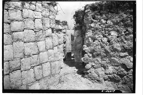 Temple of Initial Series. Inner chamber, looking NW