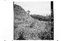 Panorama of west side of mound and platform from Station 11 on Mound 2.