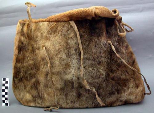 Seal skin pocket