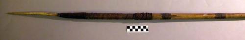 Spear with human bone point and bamboo shaft