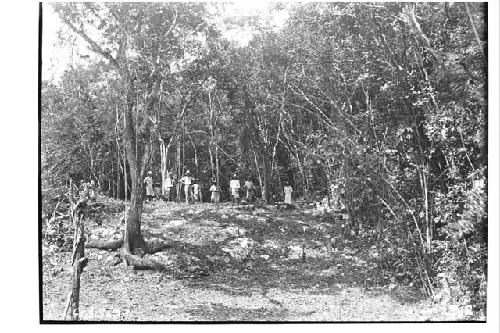 Thousand Columns. View along E. line beginning of clearing