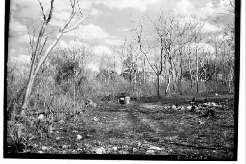 Looking to T. of Tables & warriors from Via Sacra near Chac Mool, looking E