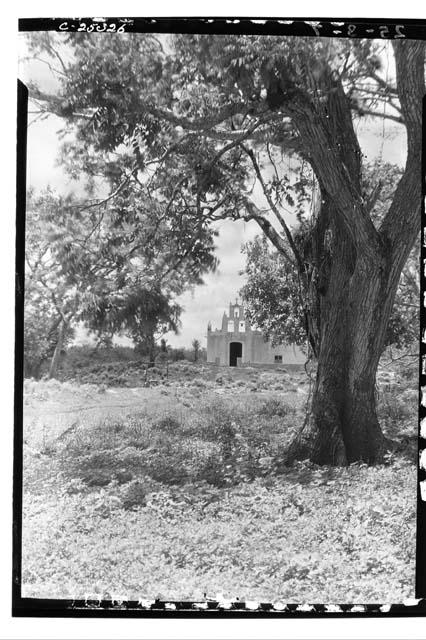 Church from Laundry; Spanish Cedar in Foreground