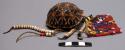 Tortoise shell compacts, each decorated with plastiv beads or beads from ostrich