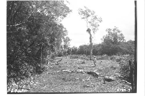 Thousand Columns. View along E. line after clearing