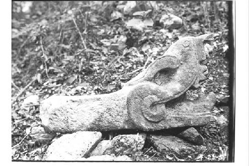 Serpent head, stone, near Middle Ball Court