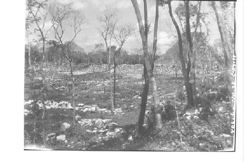 General view - Panorama from N. Colonnade - #3; 1000 Columns