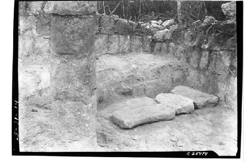 Temple of Xtoloc Cenote