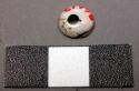 Shell bead, discoidal, one side tapering, white, dirty spiral interior