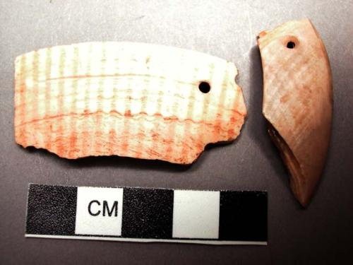 Piece of carved cardium shell with perforation. 4.9 x 2.3 cm.