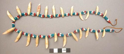 Necklace of teeth and glass beads