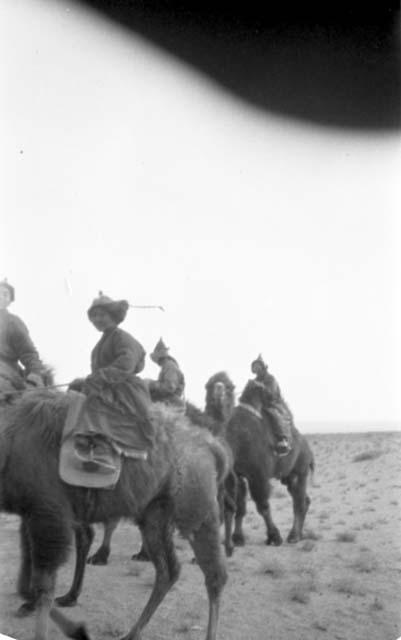 Woman and men on camels in desert