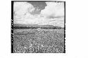 360 [degree] panorama of Main Group of ruins and outlying mounds, from top of Mo