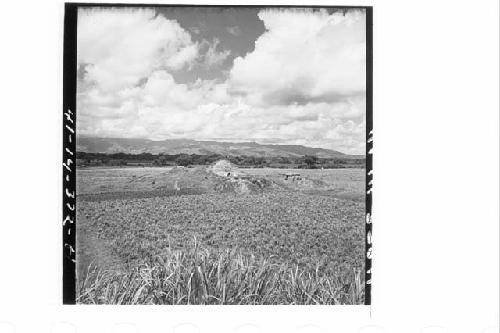 360 [degree] panorama of Main Group of ruins and outlying mounds, from top of Mo