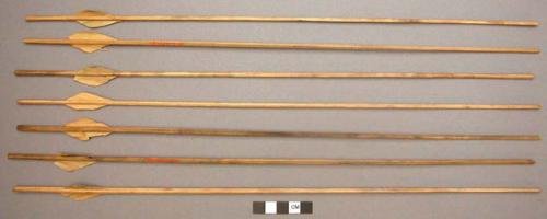 7 feathered bamboo arrows