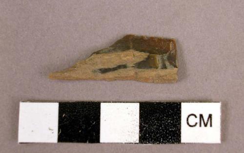 Petrified wood fragment