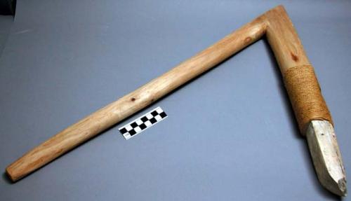 Adze; shell adze with wooden handle.