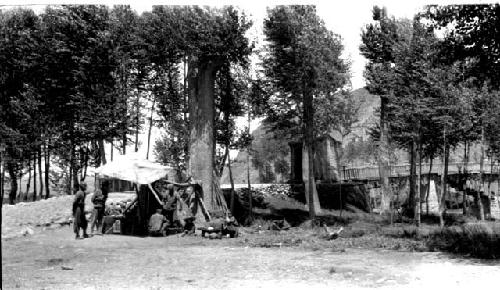 People standing near tent under trees, bridge in background