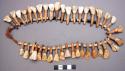 Necklace of ox teeth and shell beads