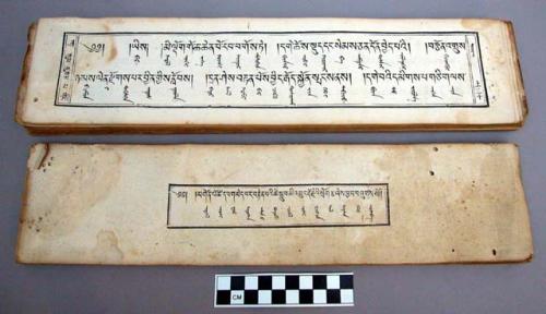 Volume of holy book in parallel lines of Tibetan and Mongolian +