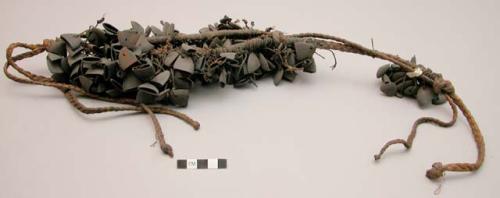 Set of dance rattles (black palm nuts) attached to fibre belt