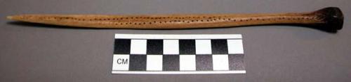 Cassowary bone incised with dots, used largely for arranging hair