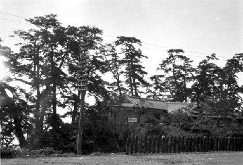 House among trees, utility pole at front