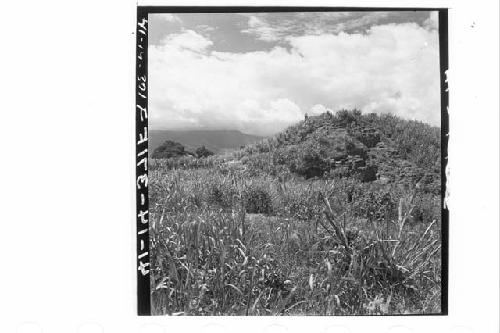 Panorama (10 pictures-360 [degrees]) of Main Group of ruins and outlying mounds,