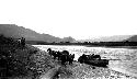 Boat moored at river edge, people and horses on shore