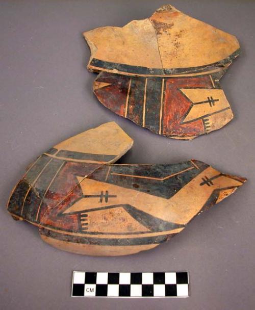 Sherds of pottery jar--restorable. sikyatki