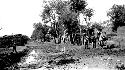 People standing in muddy area (irrigation or mud dam?)