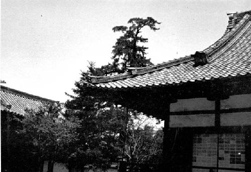 Architectural elements, roof and eaves of building