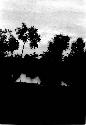 Early morning photo of trees and body of water